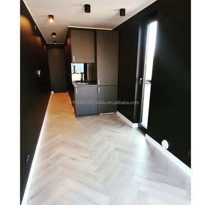 40ft Εμπορευματοκιβώτιο Μονάδας Σπιτιού