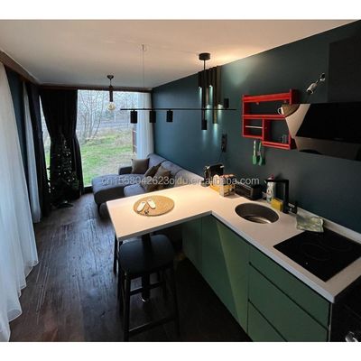 Προσαρμοσμένο χρώμα 40ft LOFT οικογενειακό στυλ κινητό σπίτι με προκατασκευασμένη χάλυβα δομή και ξύλινο εξωτερικό τοίχο